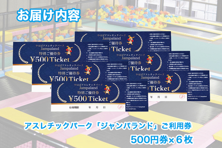 大人から子どもまで本気で遊べる！やはばアスレチックパークjampaland(ジャンパランド)利用券　500円券×6枚/アスレチックパーク jampaland ジャンパランド トランポリン スポンジピット ボルダリング スラックライン バトルビーム チケット 回数券 矢巾町