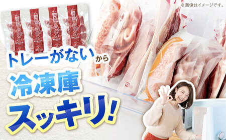 一口豚ヒレ肉 1kg（250g×4袋） 希少部位 白川町 / 藤井ファーム[AWAF070] 豚肉