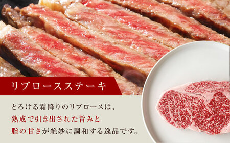 熟成肉 リブロース＆極上赤身ステーキ 800g[AOAS033] ステーキ