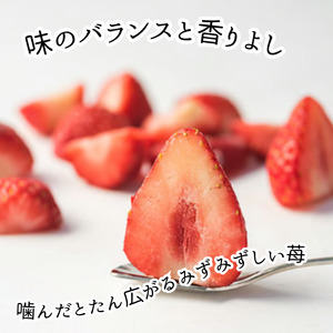 村田さん家の冷凍いちご（1kg）