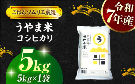 島根県産「うやま米 コシヒカリ（雲南市吉田町）」無洗米　5kg(5kg×1) 島根県松江市/有限会社藤本米穀店[ALCG045]