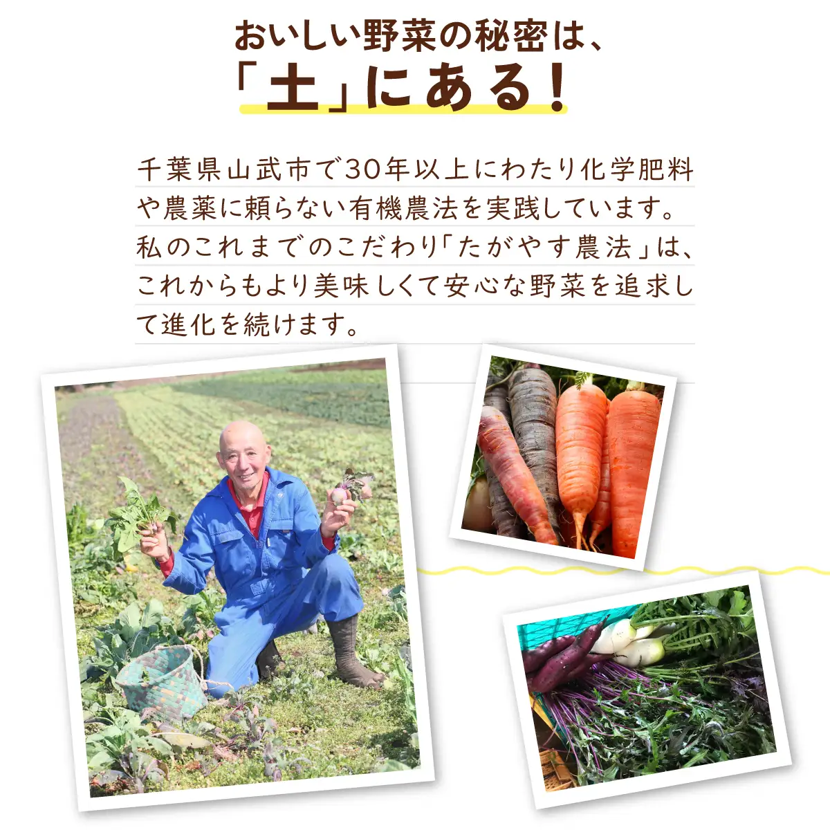 ≪8か月定期便≫有機農業の第一人者 たがやす倶楽部 齊藤 完一さんの「季節の野菜セット」 SMCL008