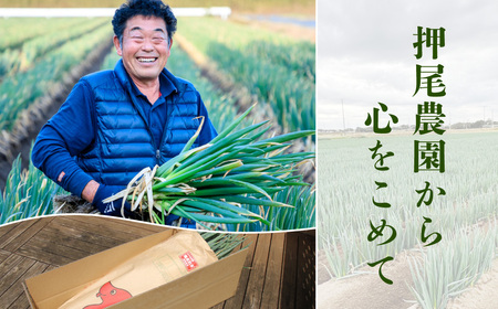 【先行予約】【山武市限定栽培】泥ネギでドドンと配送！ミネラル豊富で甘みたっぷりの「海水ネギ」７kg以上 / 地元の道の駅オライはすぬまで大人気の農家から直送! 【発送期間2026年12月から2027年2月】 SMCW002