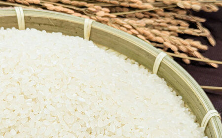 【12回定期便】 精白米(にこまる) 10kg 轟峡渓流米 / 米 白米 精白米 新米 / 轟名水ファーム高来 / 諫早市[AHFF012]