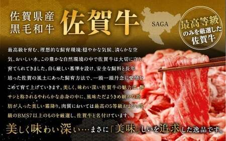 博多和牛 ステーキ （ヒレ） 6枚 （計約900g） ＋ 佐賀牛 切り落とし 400g ／ 黒毛和牛 黒毛和種 和牛 牛肉 お肉 肉 ヒレ肉 セット 国産 九州 福岡県 太宰府市 冷凍
