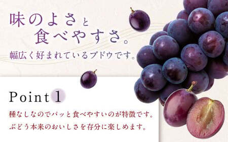 【先行予約】 宝玉農園 ピオーネ 5房～7房 （約3kg） 【2026年8月下旬～9月上旬より順次発送予定】