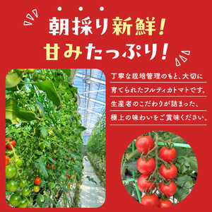 【令和8年5月下旬～発送】ながなわ農園のフルティカトマト　1kg｜  ちょっと贅沢な甘美なトマト  数量限定 トマト フルーツ 甘い 送料無料 信州 長野  阿智村  長縄農園
