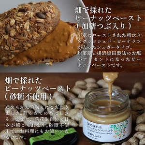 ピーナッツペースト 3本セット ピーナッツ バター 千葉県産 落花生 濃厚 ピーナッツペースト 千葉県産落花生 ぴーなっつ 無添加 ピーナッツクリーム ジャム ナッツ あんこ 餡 あん 砂糖不使用 粒入り ピーナッツあんこ 贈答 ギフト プレゼント 記念日 お祝い 送料無料 株式会社セガワ メディア 千葉県 旭市 sgw003