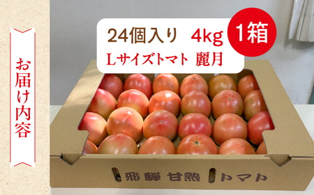 先行予約（2026年7月上旬頃から順次発送）甘熟トマト 麗月 Lサイズ 4kg【119-4】