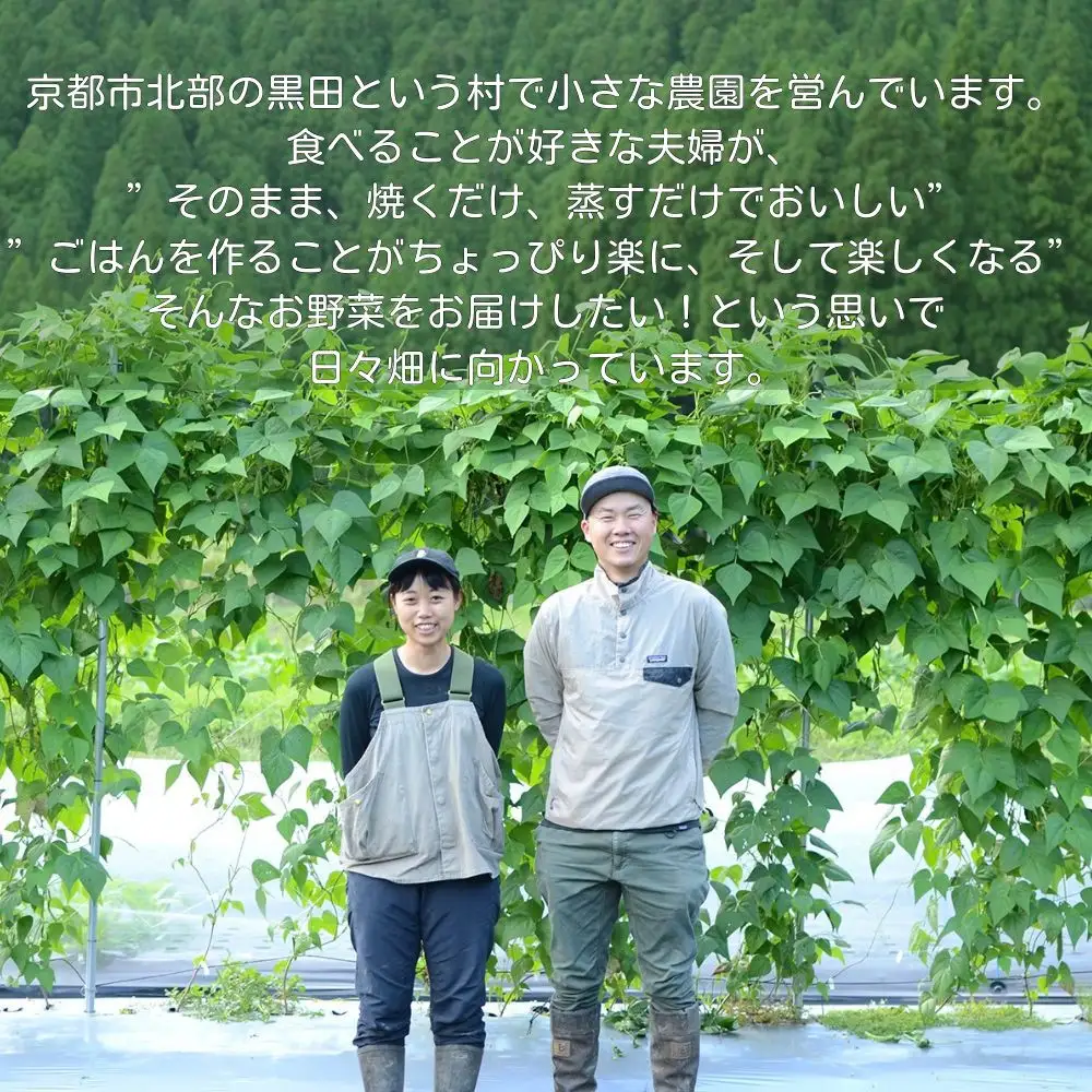 【よしだのはたけ】旬の野菜10品 やさいBOX｜京都 京北 農家直送 野菜 人気セット