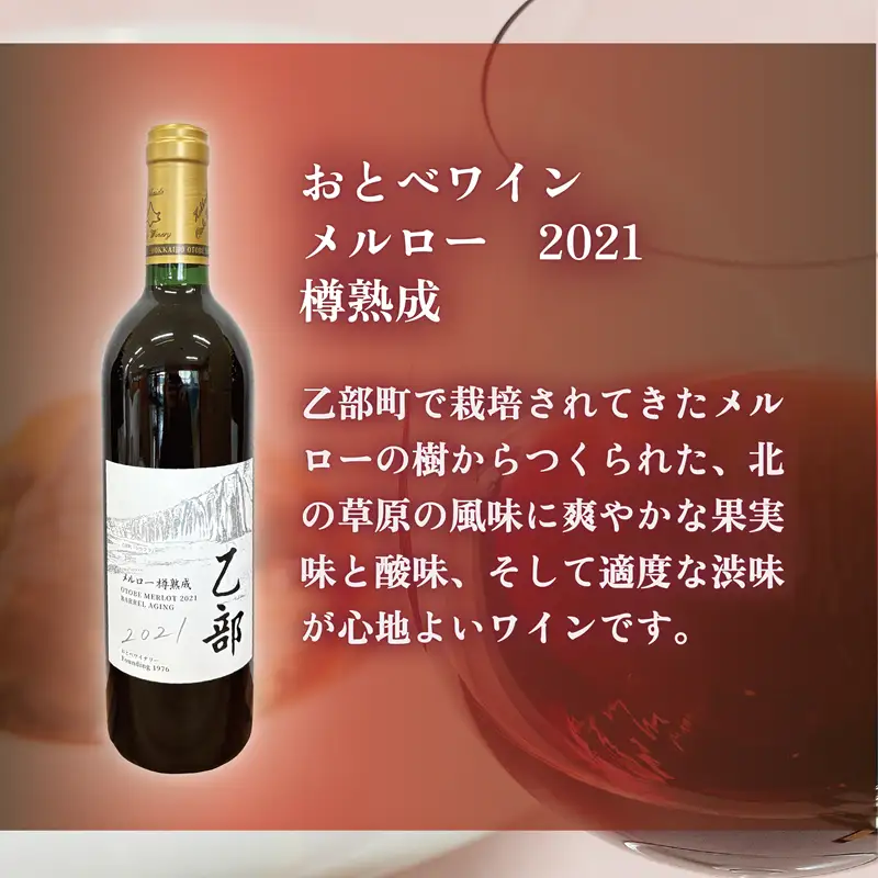 ＜おとべワイン メルロー・ヤマソービニヨン 750ml×各1本セット＞北海道 乙部町 道産 道南 道南ワイン おとべワイン ワイン 赤ワイン 限定 限定品 芳醇 香り