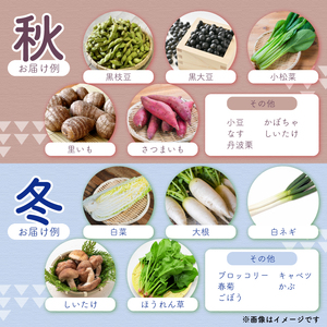 【6回定期便】 道の駅京丹波味夢の里 『旬のお野菜』 詰め合わせセット 野菜詰め合わせ 4~12種類