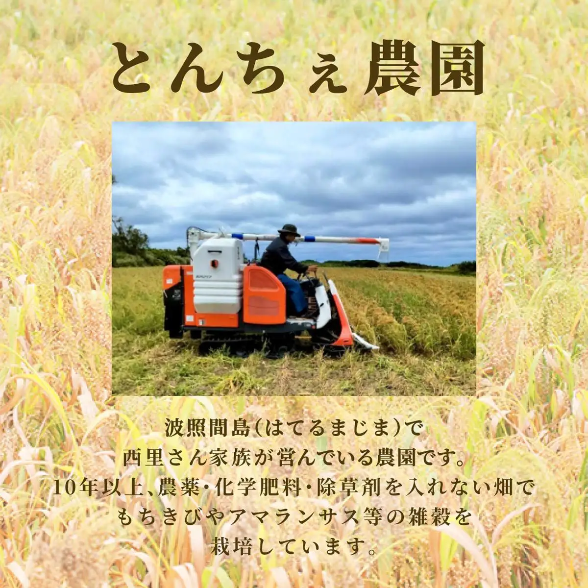もちきび 400g×1袋