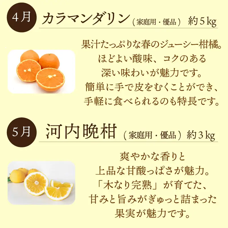 愛媛みかん おたのしみ定期便 全6回 紅まどんな 入り みかん 【KK335】