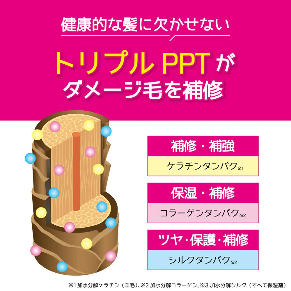 Tottimo! カラーシャンプー　ムラサキ　500ml