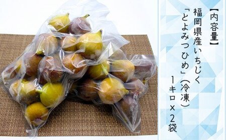 【福岡県産】冷凍とよみつひめ（イチジク）　２ｋｇ（１ｋｇ×２） 2L8-S