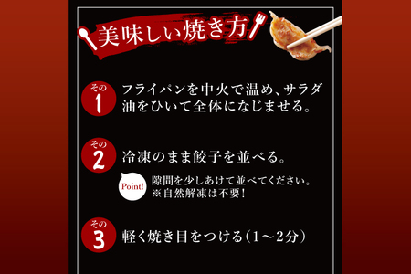 冷凍餃子 40個（20個×2袋） 美明豚 餃子 （茨城県共通返礼品・行方市産）_DS013