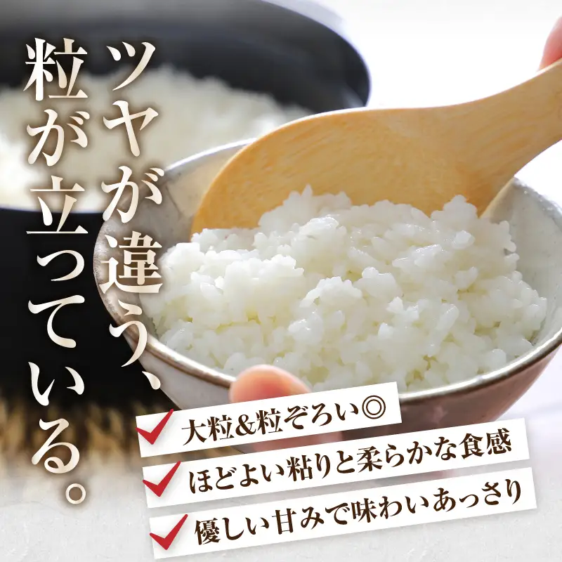 奥州米ひとめぼれ10kg(5kg×2袋) 令和7年産 岩手県奥州市産【配送時期に関する変更不可】 [U0063]
