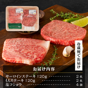 前沢牛ステーキ食べ比べ 合計480g サーロイン・モモ 各120g×2枚【冷蔵発送】 離島配送不可 [CH001]