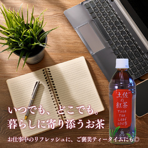 【ふるさと納税】土佐の紅茶 無糖 500ml×24本 1ケース ペットボトル PET お茶 土佐茶 高知 JA高知県 佐川町産茶葉使用【常温】