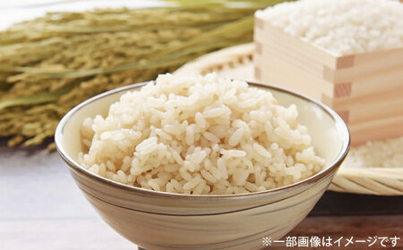 さがびより 七分づき無洗米 4kg (2kg×2袋) / 佐賀県 / 株式会社SUMRICE[41AAAV004]