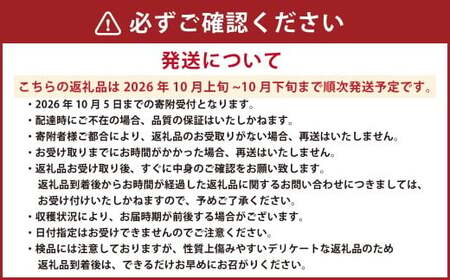 熊本県産 あけび 約3キロ前後 【2026年10月上旬発送開始】 フルーツ 果物 くだもの アケビ 熊本県 国産
