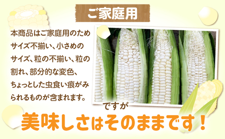 【訳あり】ご家庭用細物ホワイトコーン約3.5kg | とうもろこし 野菜 コーン 旬の野菜 旬 季節の野菜 季節 贈答 贈り物 ギフト プレゼント おすそ分け グルメ お取り寄せ 人気 おすすめ 特産 特産品 生鮮食品 香川県 三木町 |_mk006-058