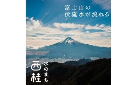 非常用飲料水 富士山麓の保存水500ml 48本 (24本入2箱)総量24L／ミネラルウォーター お水 軟水 飲料 飲料水 ペットボトル 生活必需品 消耗品 備蓄 備蓄水 防災用品 防災 災害対策 5年 長期保存 人気 まろやか おいしい 送料無料 山梨県 西桂町 [注目]【n0546-48_web_A】