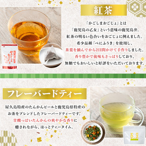No.1330 池田製茶自慢のお茶セット！紅茶、ほうじ茶、フレーバードティー(3種・5袋) 国産 九州産 鹿児島県産 日本茶 お茶 紅茶 ほうじ茶 フレーバー ティー セット たんかん 茎茶 無糖 簡易包装 数量限定 常温 常温保存【池田製茶】