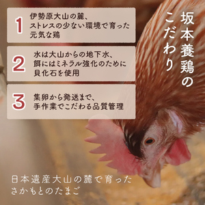 [定期便／12ヶ月×月1回] さかもとのたまご 20個 (18個＋割れ保証2個) 合計240個 [0805]