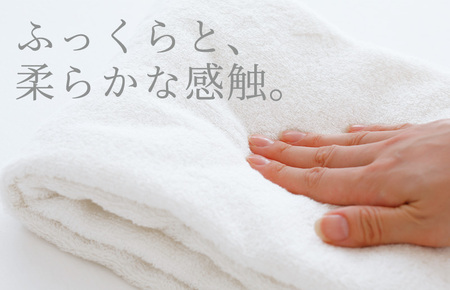 （今治タオルブランド認定）iimin 今治タオル 普段使いのフェイスタオル（抗菌防臭加工）ベージュ 2週間14枚セット【I003890FT14BE】