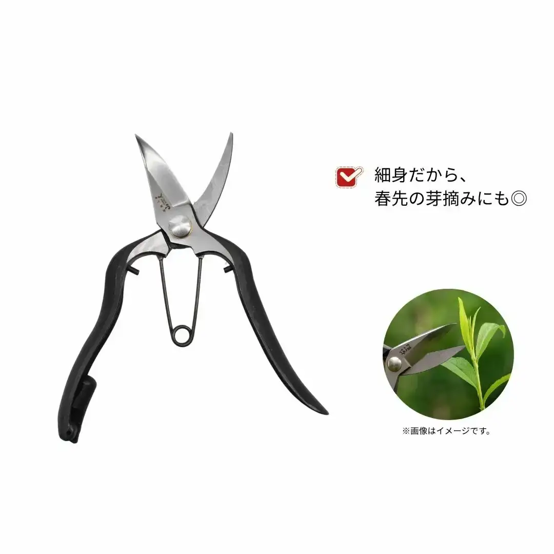 [山人] 打物 剪定芽切鋏（金止式） はさみ ハサミ せん定 プロ仕様 園芸 盆栽 庭木 庭仕事 果樹 生垣 高級 燕三条製 ガーデニング 【037S051】