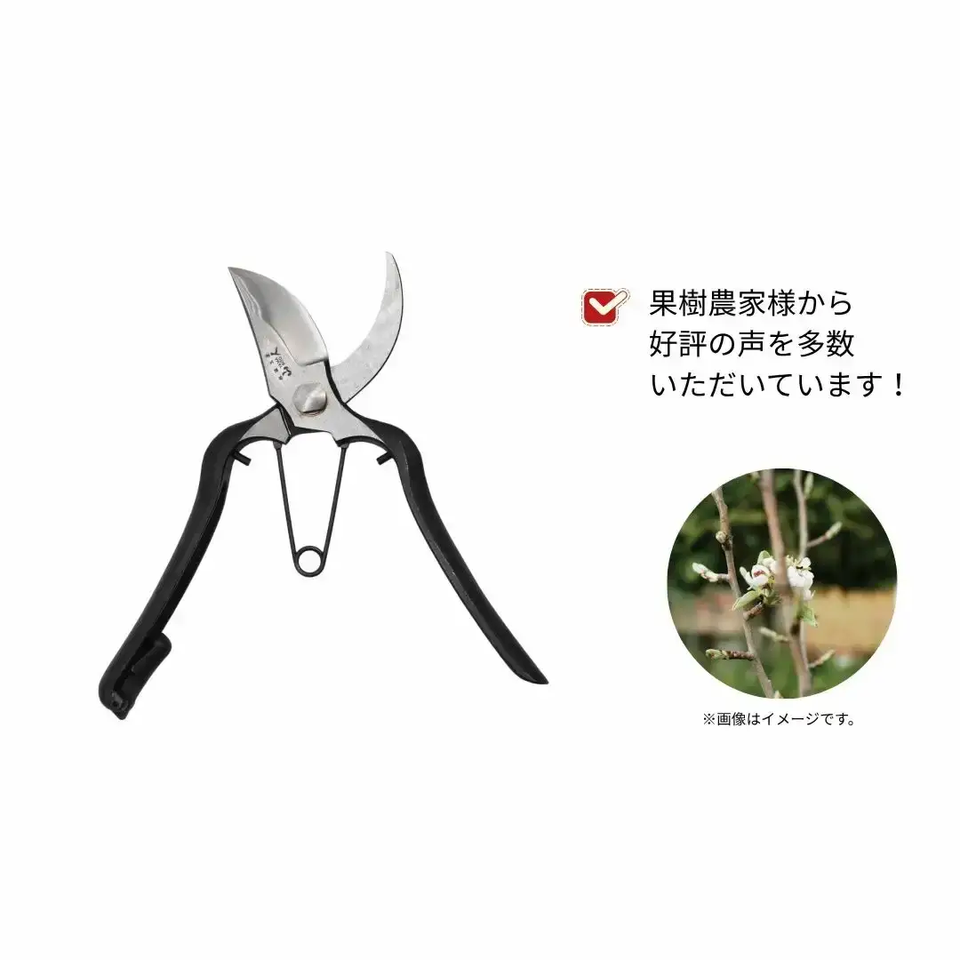 [山人] 打物 剪定鋏（金止式） はさみ ハサミ せん定 プロ仕様 園芸 盆栽 庭木 庭仕事 果樹 生垣 高級 燕三条製 ガーデニング 【048S019】