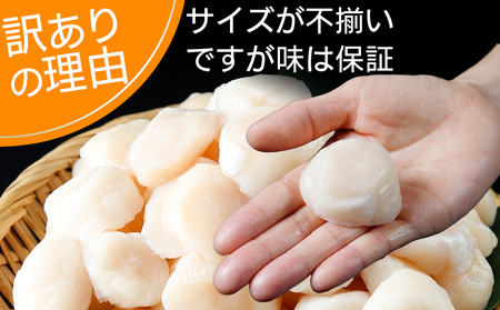 陸奥湾産ほたて貝柱　玉冷500g　刺身用　サイズ不揃い　訳あり