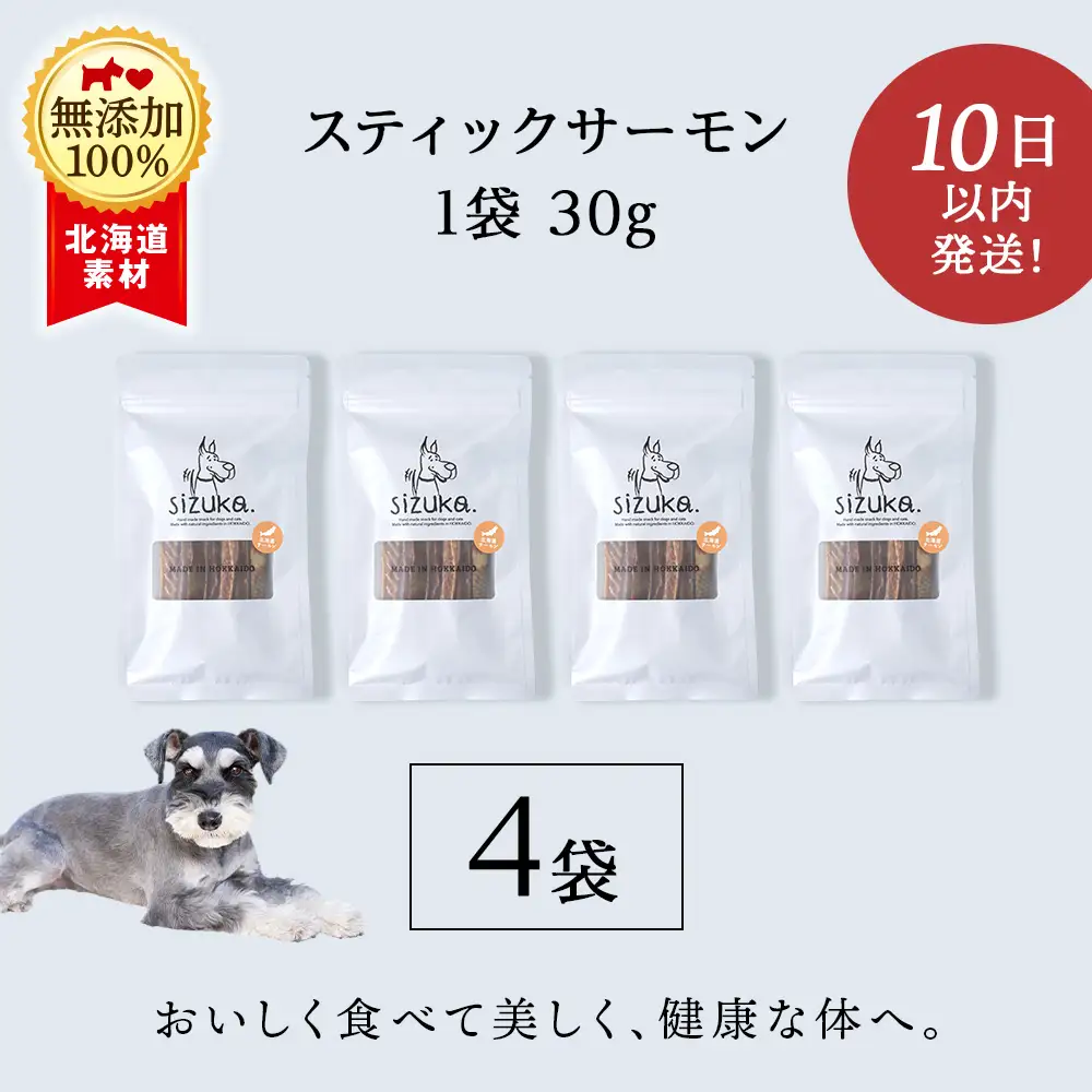 スティックサーモン 30g×4袋