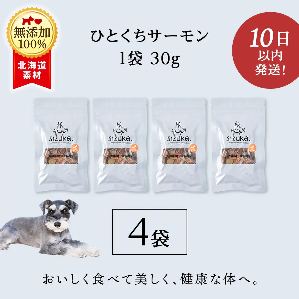 ひとくちサーモン 30g×4袋