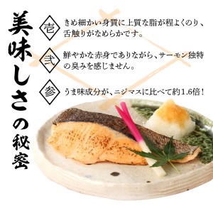 【鮮魚直送】キングサーモン×ニジマス「富士の介」焼き魚用 切身  サーモン にじます 焼き魚 冷凍 魚   