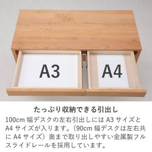 学習デスク2点セット(カルロ 100本体・100ラック)