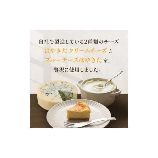 チーズケーキ　夢民舎ブランド　北海道　ブルーチーズ 使用【1658665】