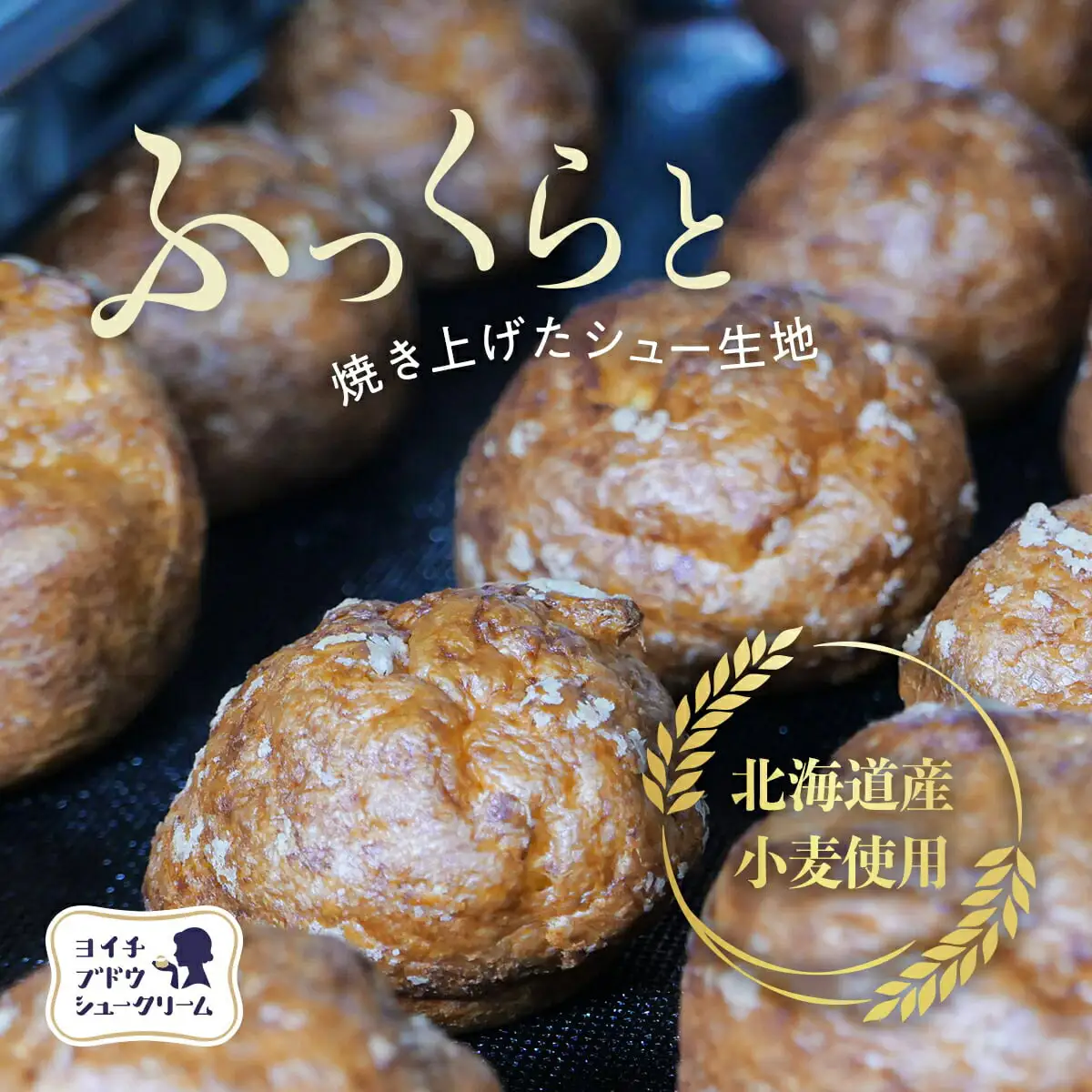 余市産ブドウシュークリーム 10個入り_Y156-0002