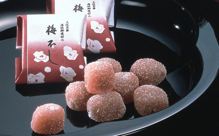 西川屋 元祖ケンピ・梅不しセット 〈元祖けんぴ1箱・梅不し各6個入り×2箱〉 / けんぴ 芋ケンピ 芋 ケンピ おやつ さつまいも さつま芋 梅不し 和菓子 芋スイーツ 高知県 高知 【西川屋老舗】[ATHS009]