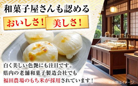 【先行予約】 お餅 ＜12月25日から年内順次発送＞ もち 真空パック 杵つきひら餅 10個×3 [APBM014]