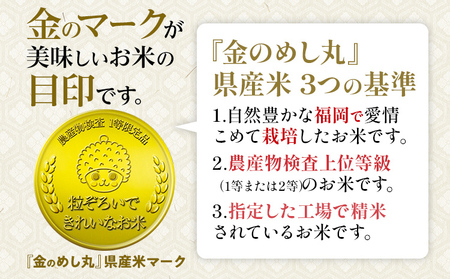 【無洗米 3回定期便】 令和7年産 無洗米 金のめし丸 元気つくし 5kg 定期便 3ヵ月 福岡 お米 米 ごはん ご飯 お弁当 おにぎり 金のめし丸県産米 福岡ブランド米 めし丸 ライス rice 飯