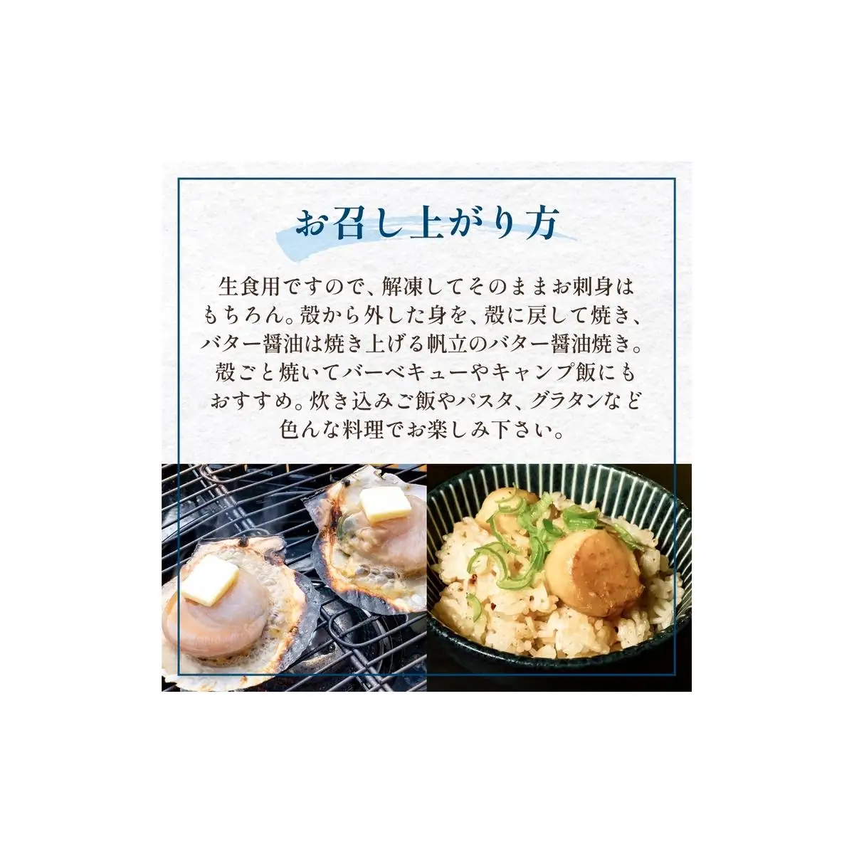 【冷凍・生食用】 殻付き帆立 10枚 帆立 ホタテ ほたて 殻付き 生食 生食用 肉厚