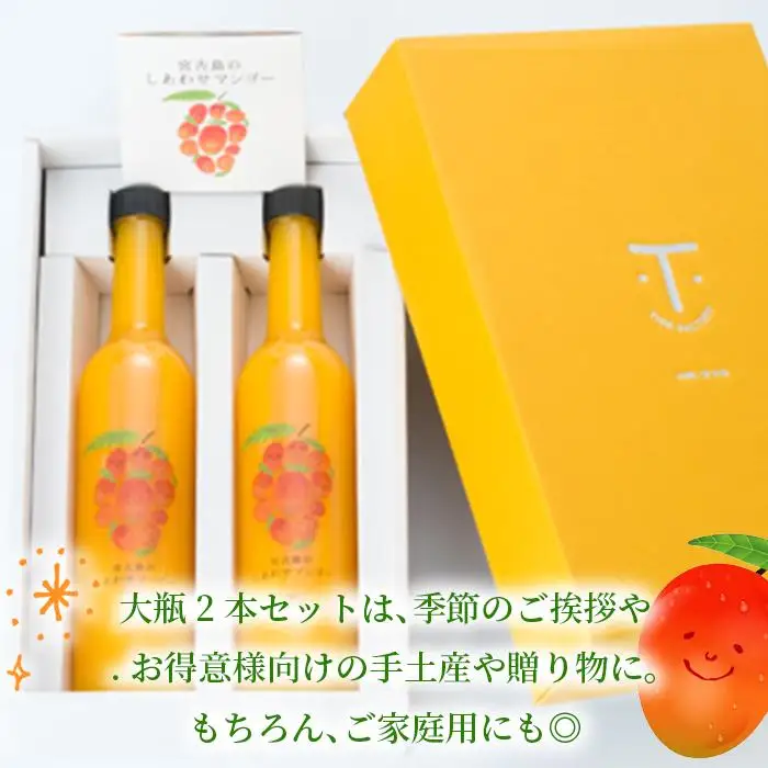 宮古島のしあわせマンゴー　大瓶２本セット【500ｇ×2本】(T114)