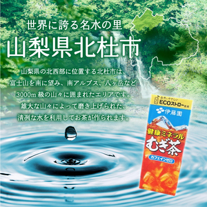 【3ヶ月定期便】健康ミネラルむぎ茶 250ml 24本 伊藤園 紙パック　麦茶 カフェインゼロ 1ケース24本 ドリンク 配達 仕送りギフト 防災 [h132]