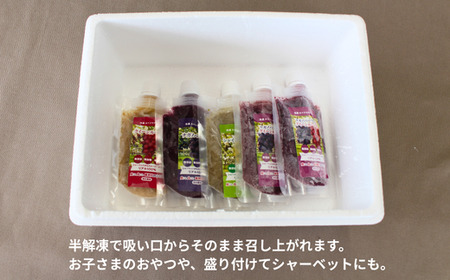 TK25 ぶどう 冷凍スペシャルパウチ リアル100％ Lサイズ（95g） 5個 // 長野県 南信州 冷凍フルーツ 冷凍パウチ パウチ シャーベット スムージー 無添加 無加糖 無加水 葡萄 シャインマスカット ナガノパープル クインルージュ