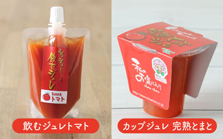 シュシュオリジナル トマト盛り沢山6種セット / とまと ジュース ドレッシング ケチャップ ソース / 大村市 / おおむら夢ファーム[ACAA484]