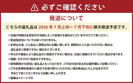 キングメルティー メロン 大玉 1玉 約2kg～2.5kg  くだもの 果物 果実 フルーツ 舐瓜 北海道 浦臼町【2026年7月上旬－2026年7月下旬迄順次発送予定】