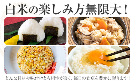 【12ヶ月定期便】熊本県産 菊池米 白米 無洗米 10kg 1袋5kg 米 お米 令和7年産 九州産 熊本県産 送料無料《お申込み翌月に出荷予定》 白米 米